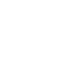 motto-flag-white (1)